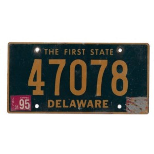 1995 DELAWARE 47078