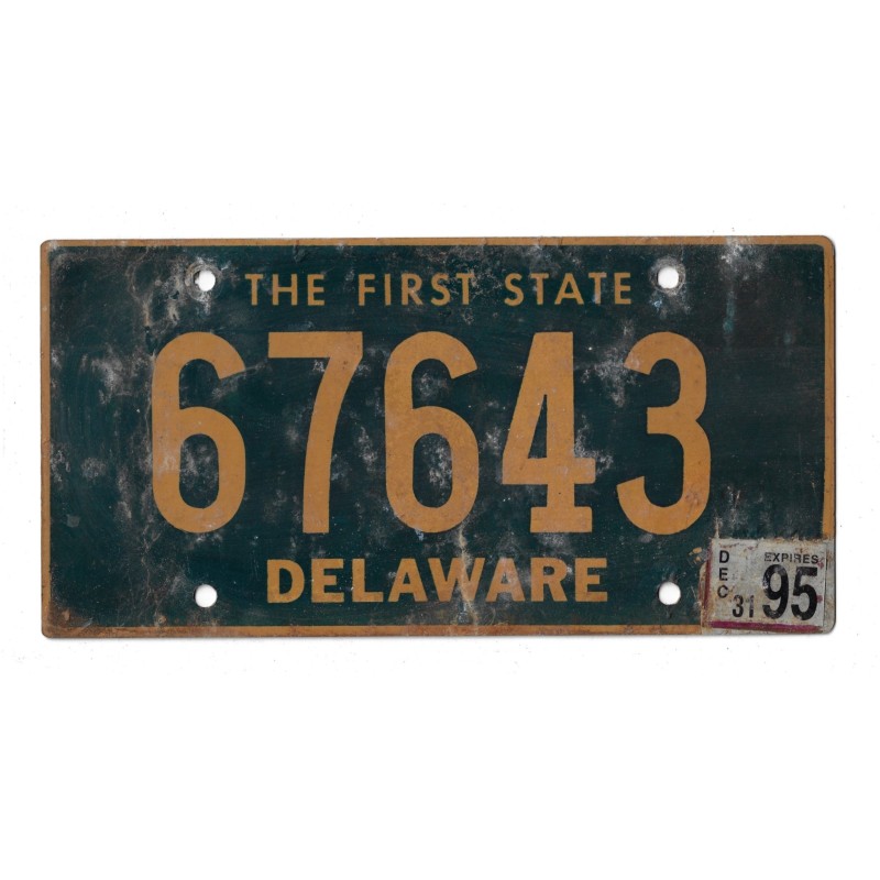 1995 DELAWARE 67643