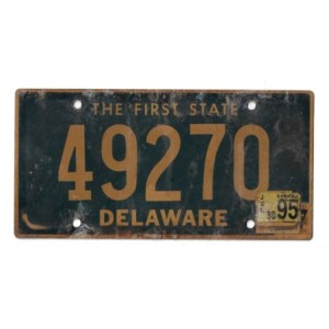 1995 DELAWARE 49270