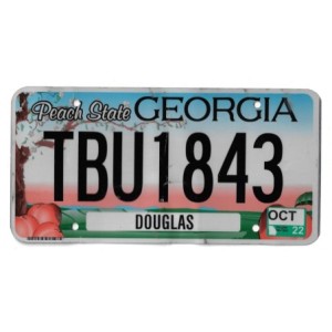 2022 GEORGIA TBU1843