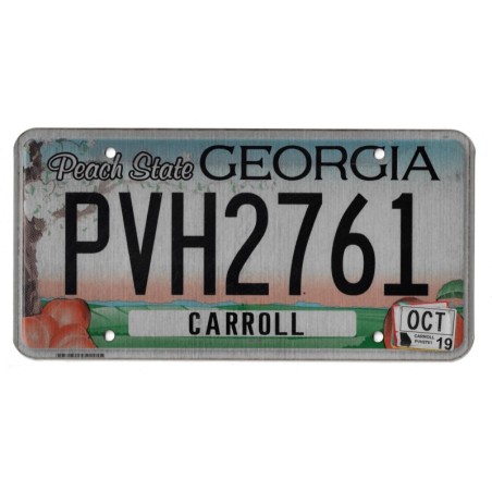 2019 GEORGIA PVH2761