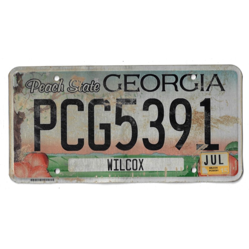 GEORGIA PCG5391