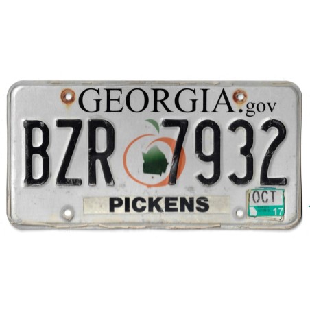 2017 GEORGIA BZR7932