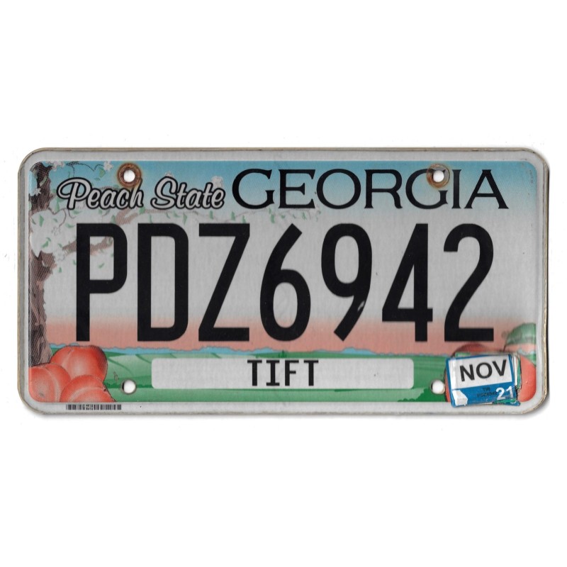 2021 GEORGIA PDZ6942