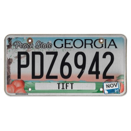 2021 GEORGIA PDZ6942