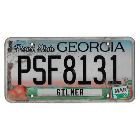 2022 GEORGIA PSF8131