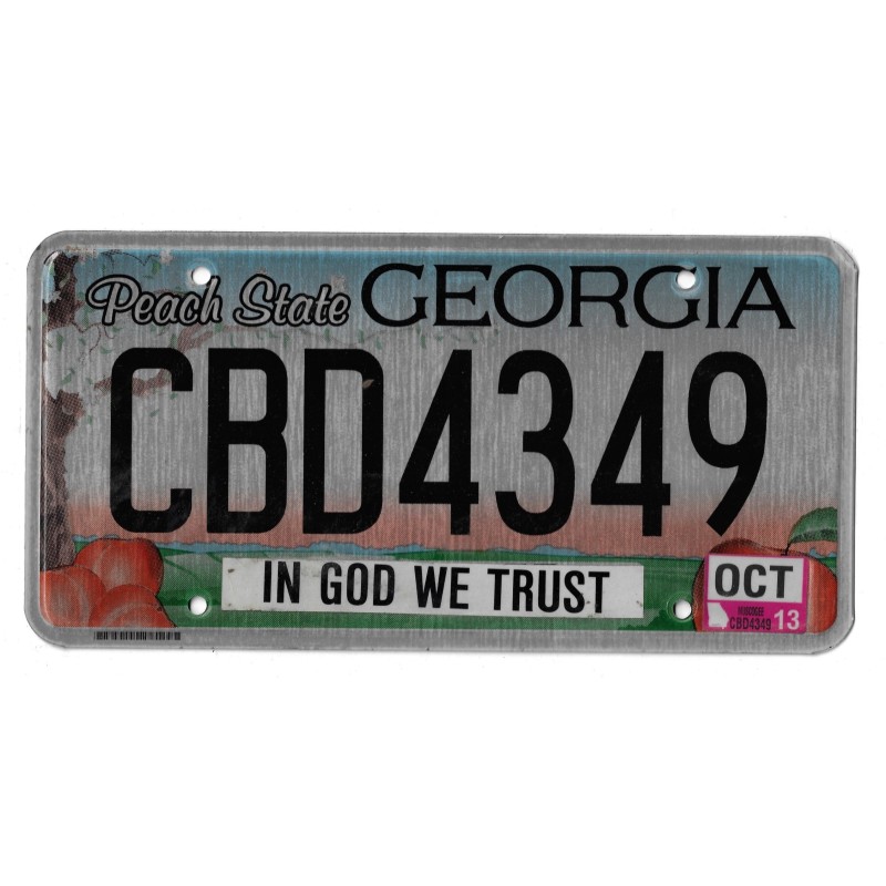 2013 GEORGIA CBD4349