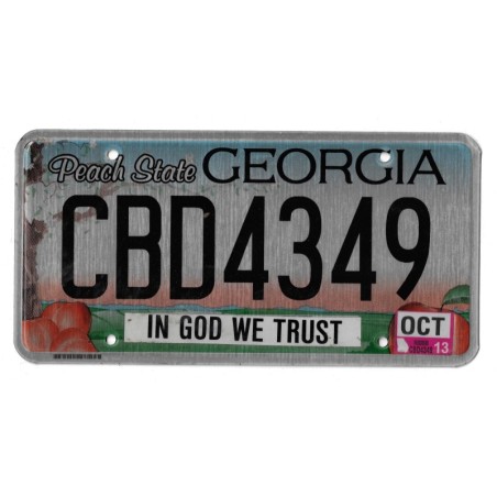 2013 GEORGIA CBD4349
