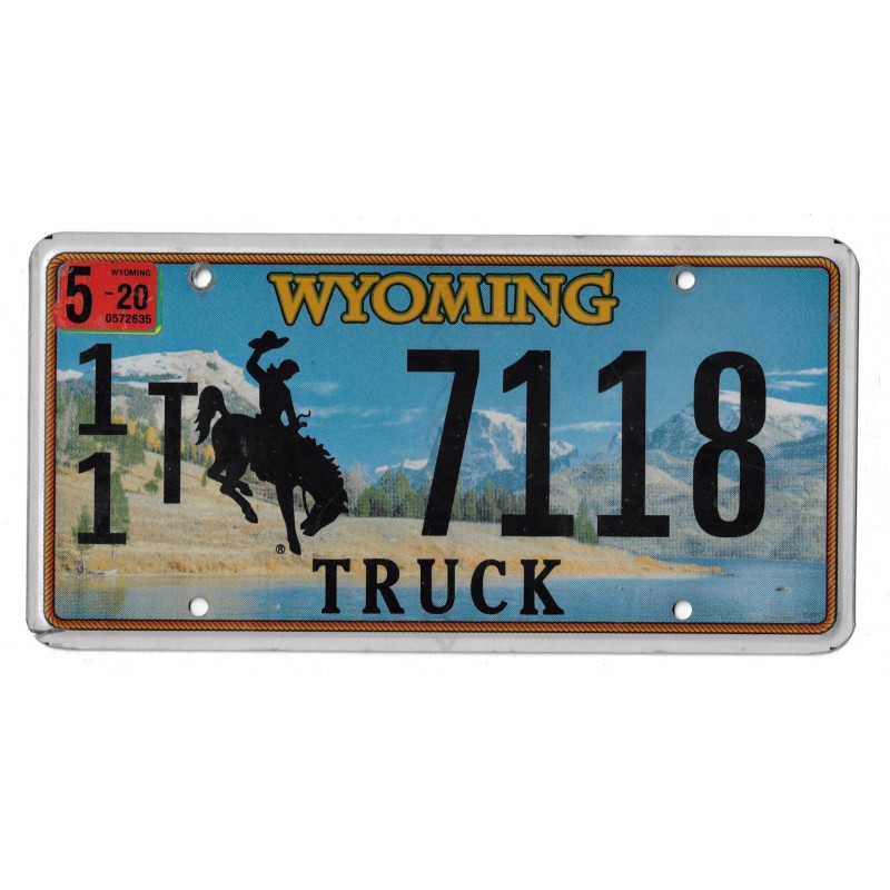 2020 WYOMING 117118