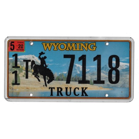 2020 WYOMING 117118