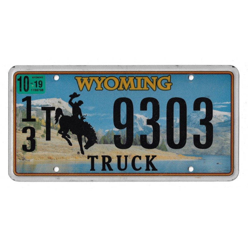2019 WYOMING 13T9303