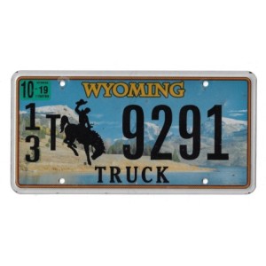2019 WYOMING 13T9291