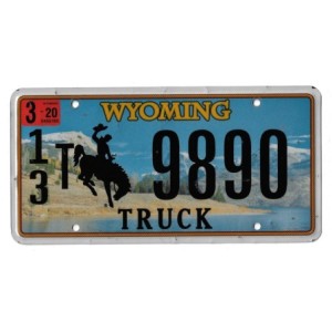 2020 WYOMING 13T9890