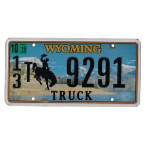 2019 WYOMING 13T9291