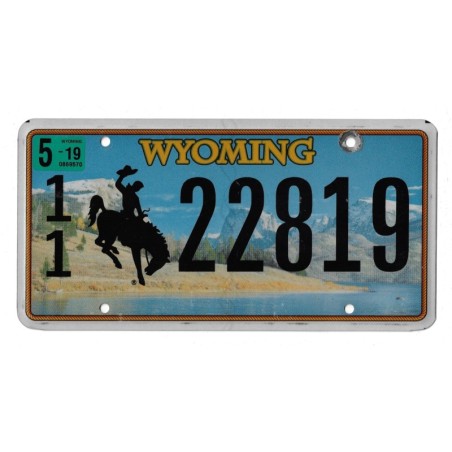 2019 WYOMING 1122819