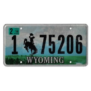 2014 WYOMING 175206