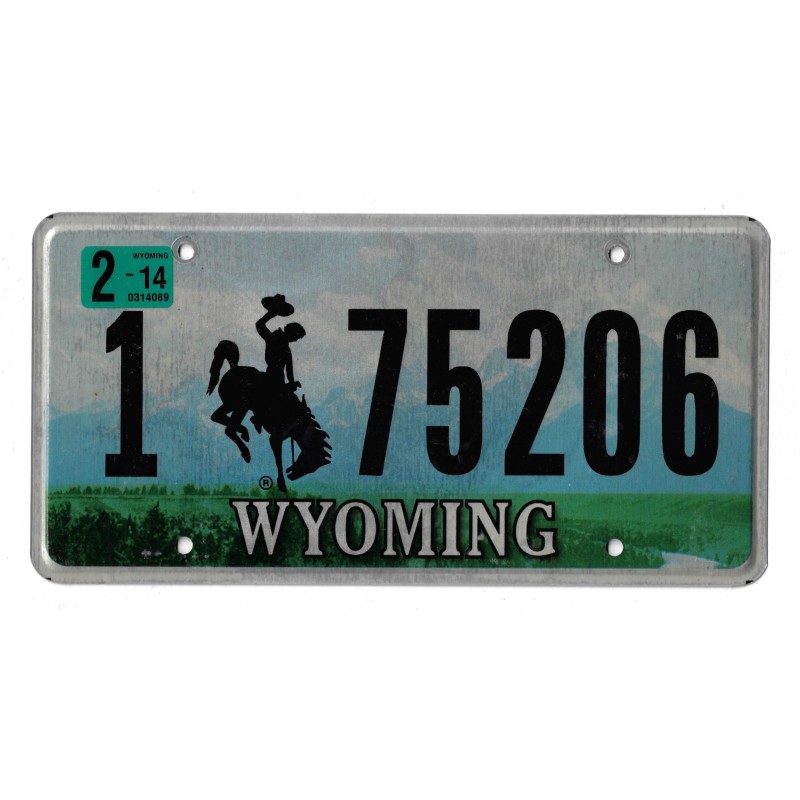 2014 WYOMING 175206