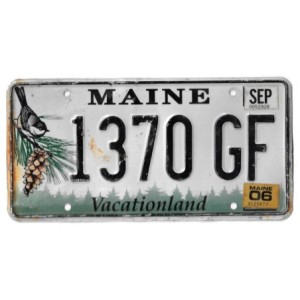 2006 MAINE 1370GF