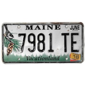 2016 MAINE 7981TE