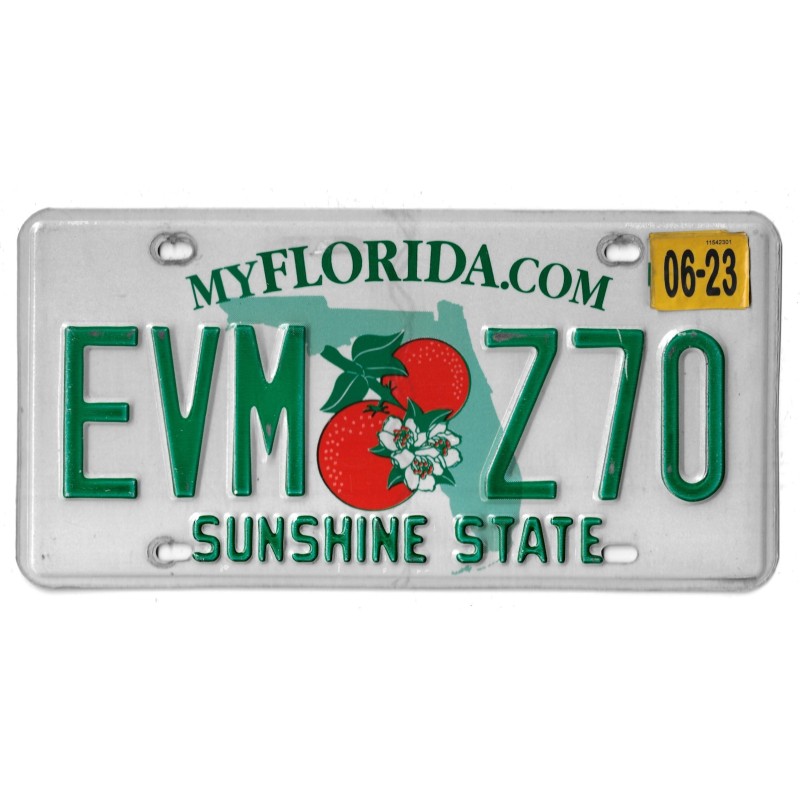 2023 FLORIDA EVMZ70