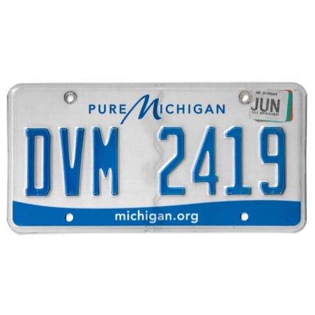 MICHIGAN DVM 2419