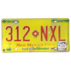 NEW MEXICO 312 NXL