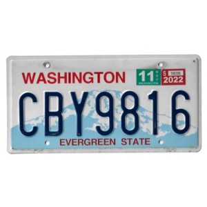 WASHINGTON CBY9816