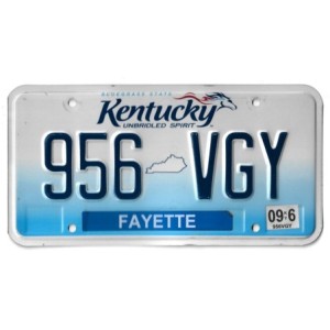 KENTUCKY 956 VGY