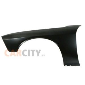 Fender - Left Side (CHALLENGER 08-22)